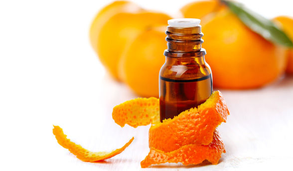 高品質のオレンジオイルの栽培と収穫