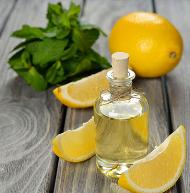 他の柑橘類の植物と比較したレモンエッセンシャルオイルの栄養価